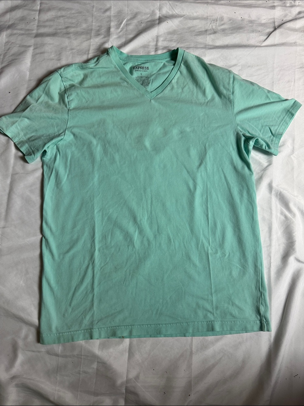 Express Men’s V-Neck T-Shirt in Mint